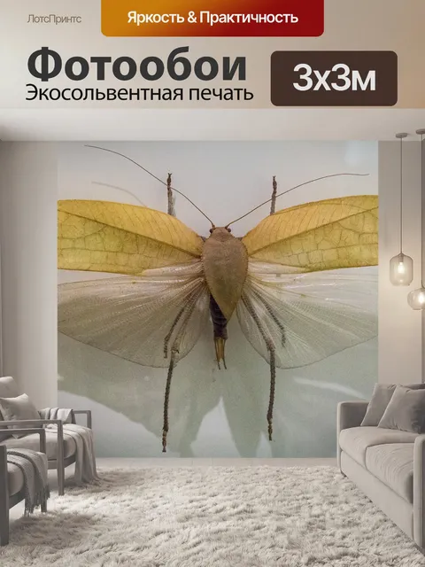Фотообои Летать