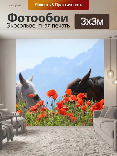 Фотообои Лошади