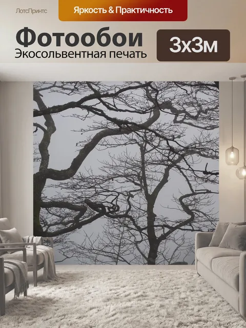 Фотообои Лес