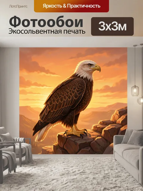 Фотообои Белоголовый орлан на скале