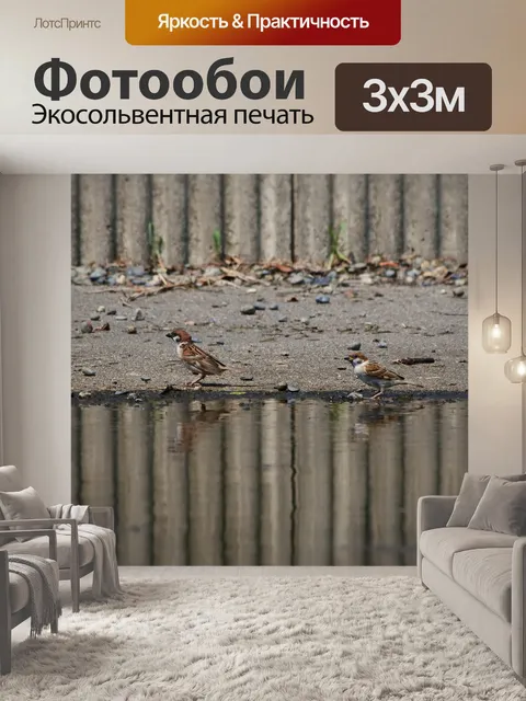 Фотообои Животное
