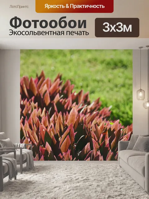 Фотообои солнечные растения с фиолетовыми листьям
