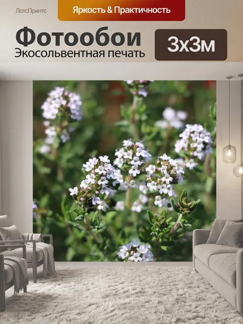 Фотообои Цветы