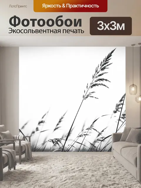 Фотообои Тонкие травы на белом фоне