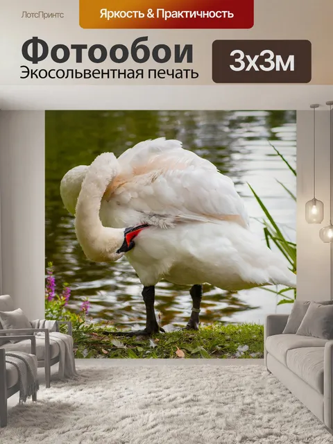 Фотообои Природа