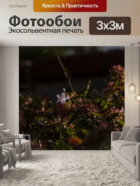 Фотообои Крошечный цветок на растении