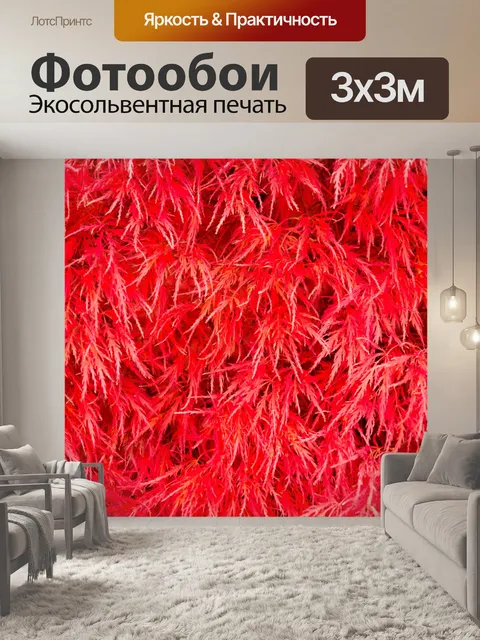 Фотообои красный листья фон