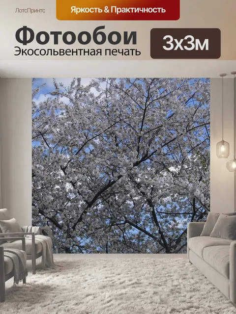 Фотообои Цветение вишни