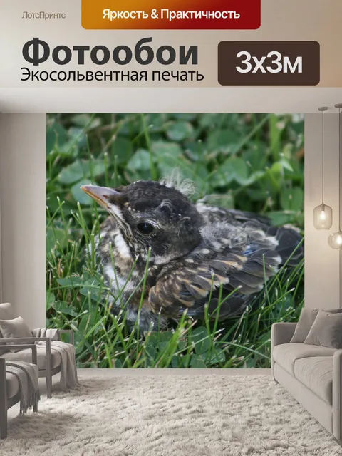 Фотообои Трава