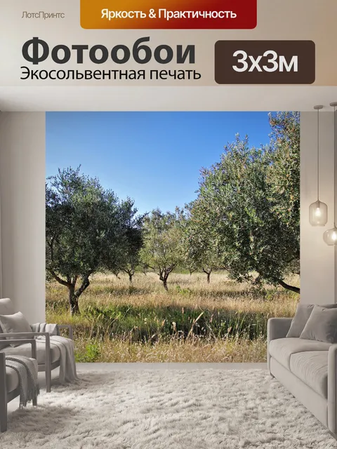 Фотообои Оливковое дерево