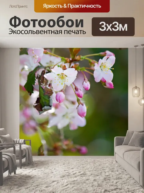 Фотообои Розовые цветы цветут