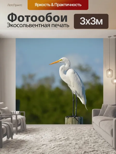 Фотообои Птица