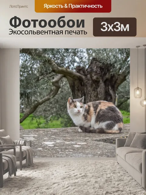 Фотообои Кошка