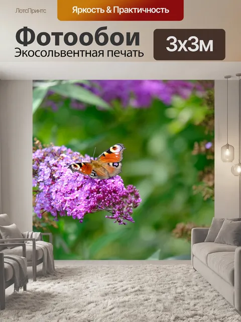 Фотообои Бабочка