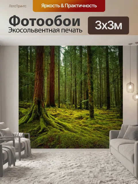 Фотообои густой лес с высокими деревьями и толстым мхом на земле