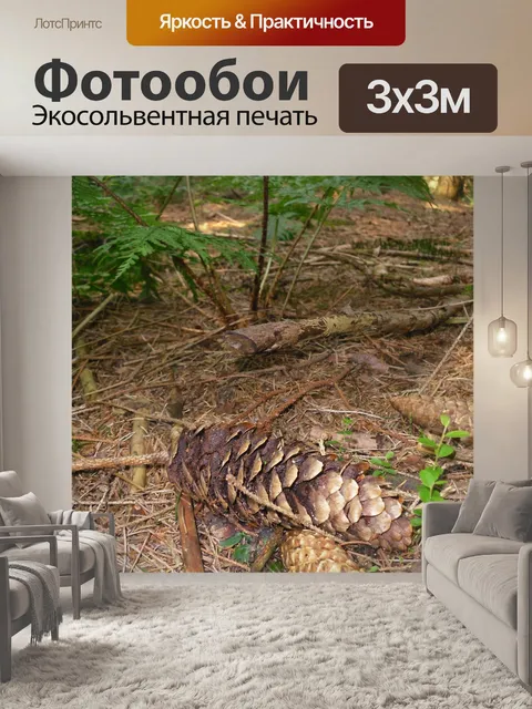 Фотообои Шишка