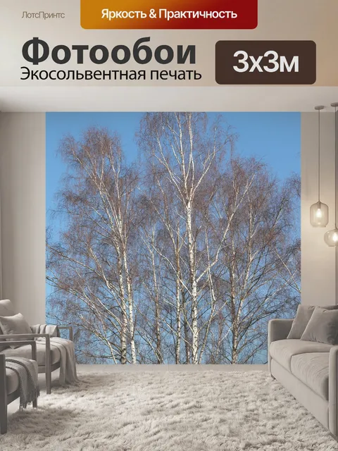 Фотообои Березы