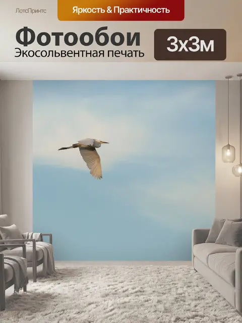 Фотообои Цапля