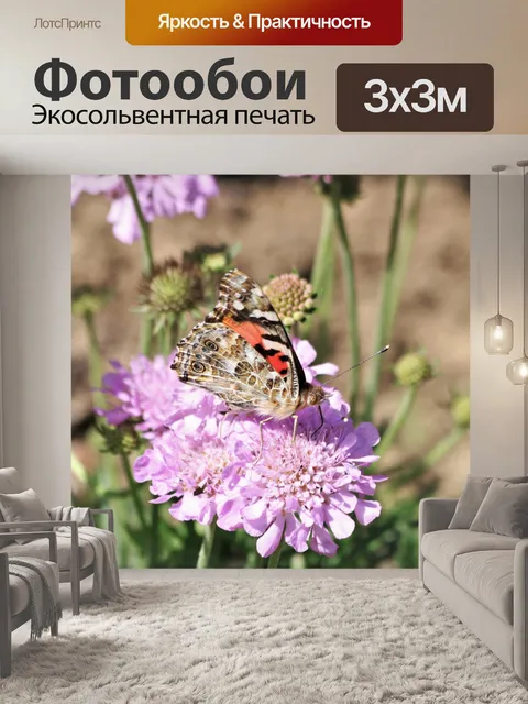 Фотообои Американская леди бабочка на цветке 2