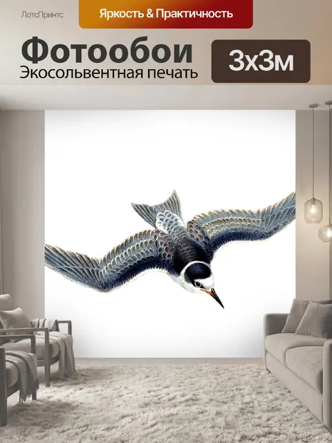Фотообои Черная крачка