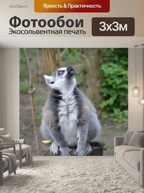 Фотообои Кольцо лемуров 3