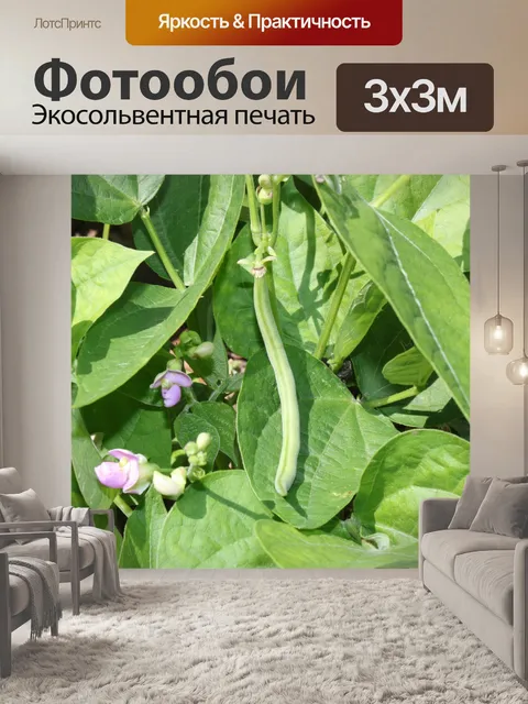 Фотообои Зеленая фасоль и цветущие растения