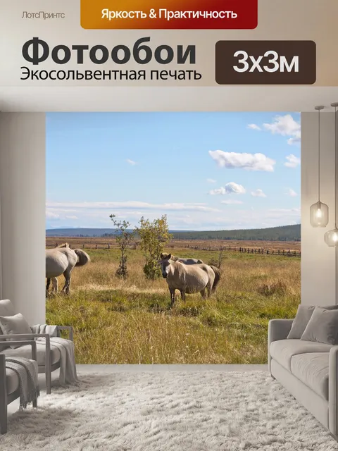 Фотообои Лошади