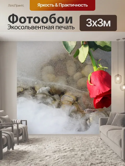 Фотообои Красная роза на льду