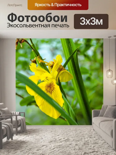 Фотообои Цветок