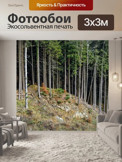 Фотообои Деревья