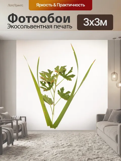 Фотообои Листья