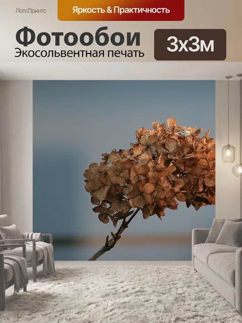 Фотообои Природа