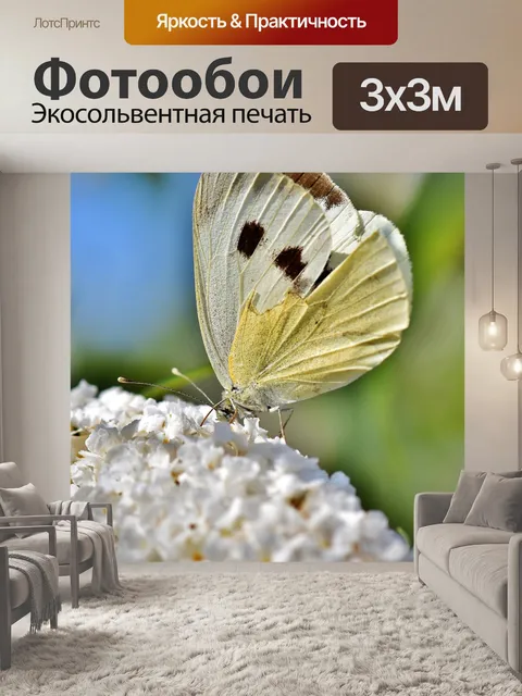 Фотообои Белый