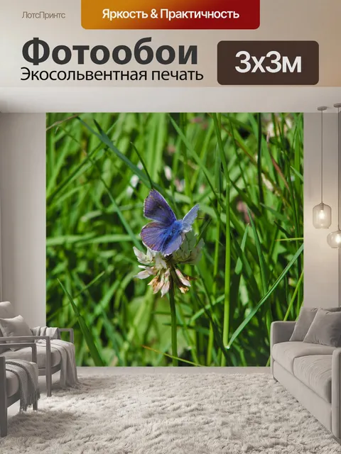 Фотообои Животные
