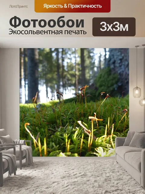Фотообои Лес