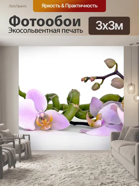 Фотообои Орхидея