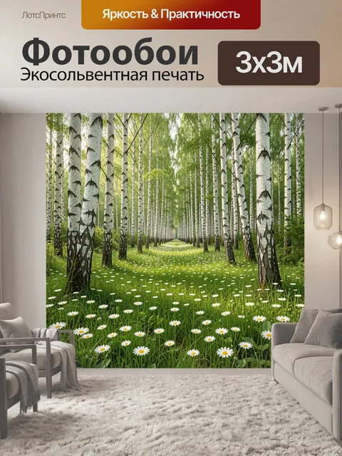 Фотообои Берёзовая аллея с ромашками
