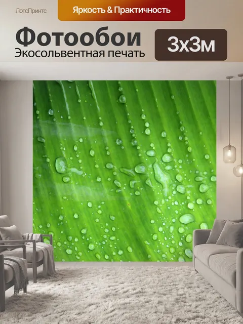 Фотообои Зеленый лист банан