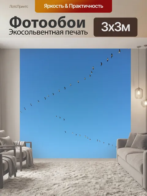 Фотообои Гусиный Перелет