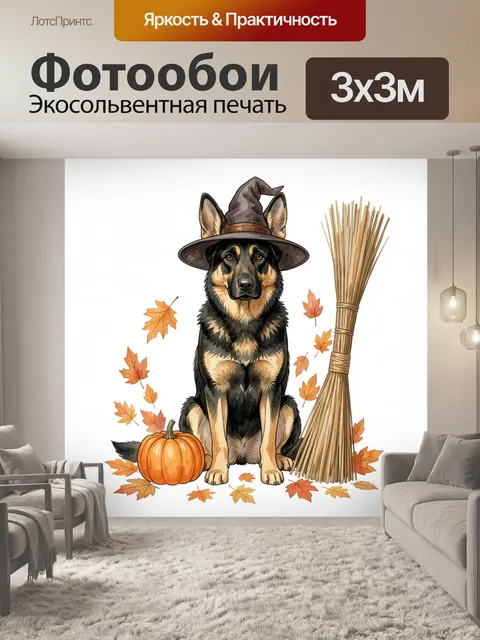 Фотообои Овчарка в шляпе ведьмы