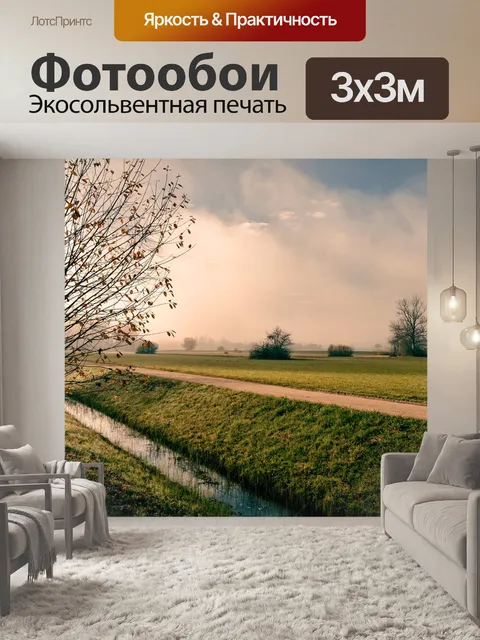 Фотообои Деревья