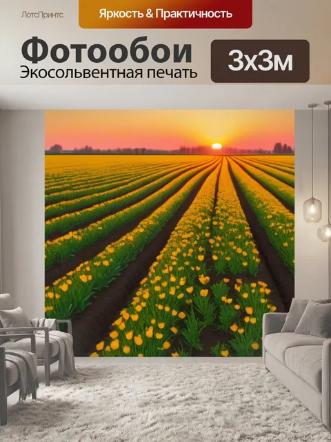 Фотообои поле тюльпанов на закате