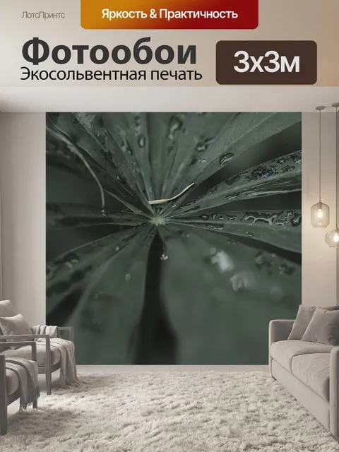 Фотообои Папоротник