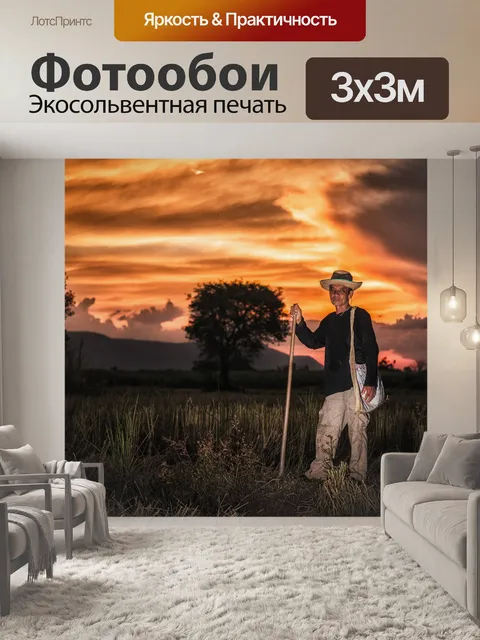 Фотообои Деревья