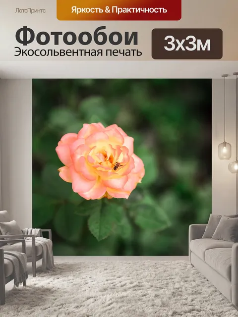 Фотообои Цветы