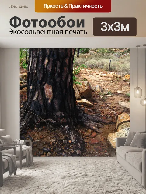 Фотообои обугленная кора на основе сосны