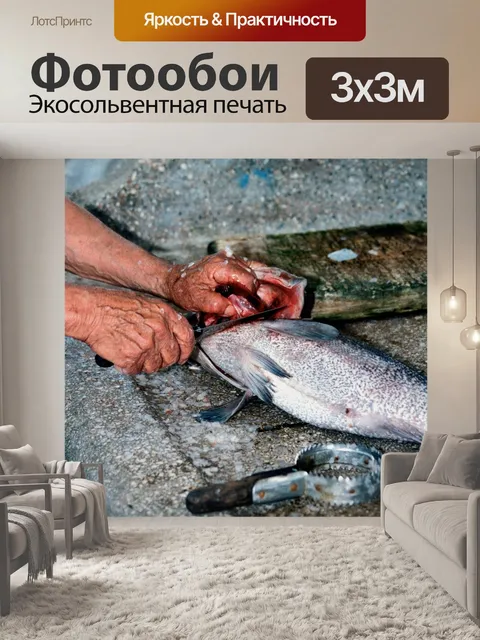 Фотообои Рыбы