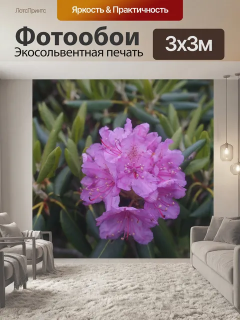 Фотообои Горы роан