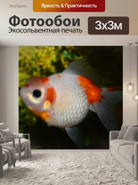 Фотообои Золотая рыбка