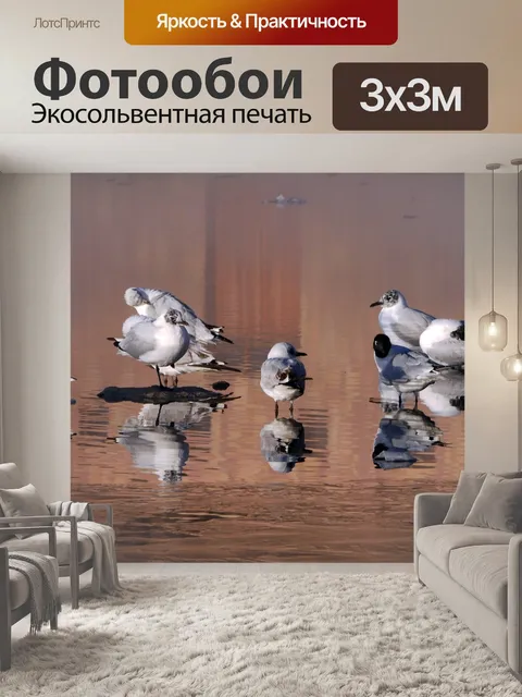 Фотообои Чайки
